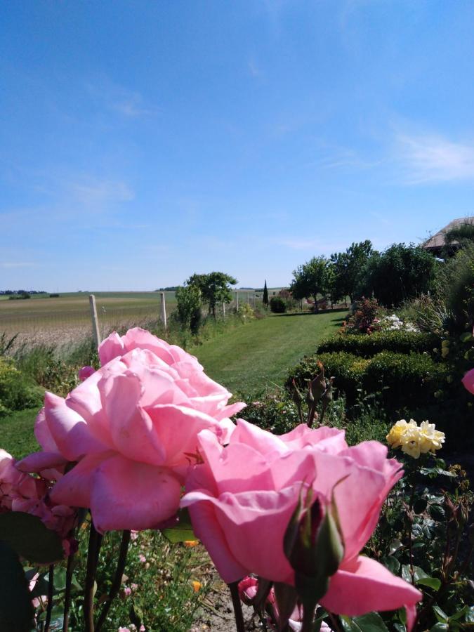 A L Epoque Bed and Breakfast Bouges  Buitenkant foto